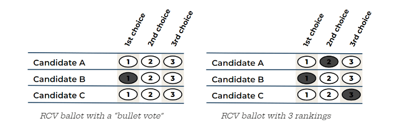 Ranked choice voting and voter patterns in at-large races in the ...