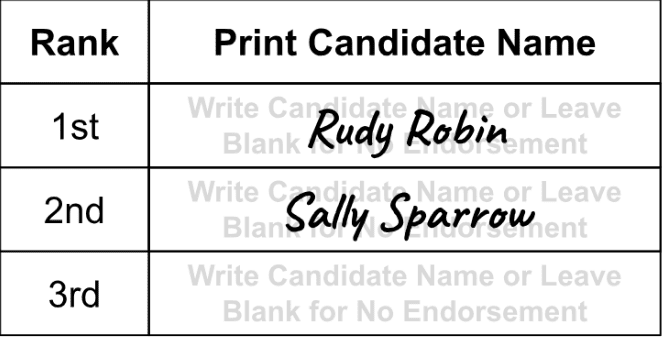 Sample ranked choice voting ballot for an endorsement vote, with faded text in each line that says "Write candidate name or leave blank for no endorsement"