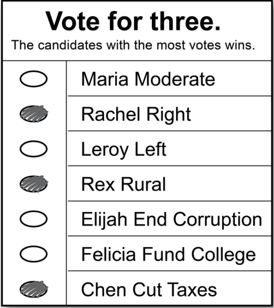 Block voting sample ballot