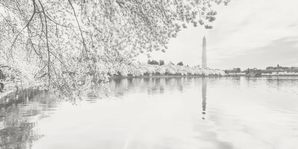Photo of the Tidal Basin and cherry blossoms in Washington, DC